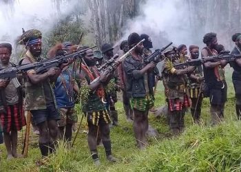 Cartenz Task Force Seizes KKB Member. Source: Detik.