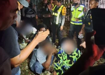 Police Bust! Five Students Nabbed in Alcohol and Narcotics Marijuana Raid. Source JPNN.