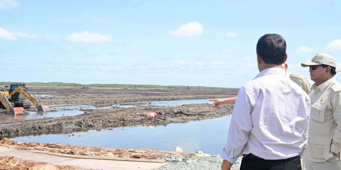 President Prabowo’s Visit to Merauke’s Rice Demonstration Plot